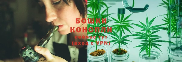крисы Надым
