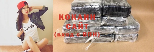 крисы Надым