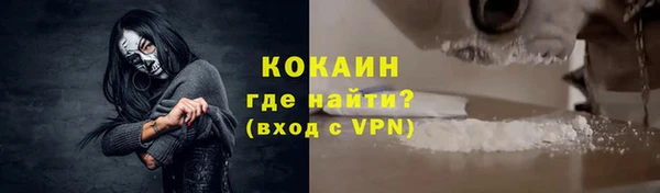 крисы Надым