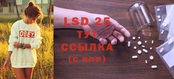 крисы Надым