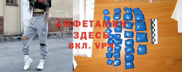крисы Надым