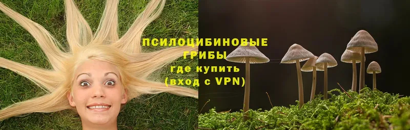 Псилоцибиновые грибы Magic Shrooms Приволжск